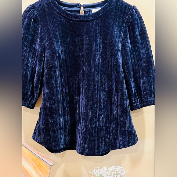 Velvet Navy Blue Tunic - Picture 2 of 5